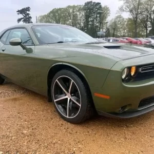 2019 dodge challenger sxt – pure muscle